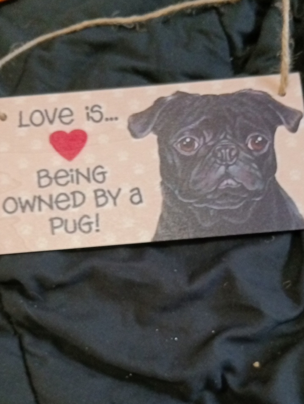 Being Owned by a Pug Wall Sign – Black